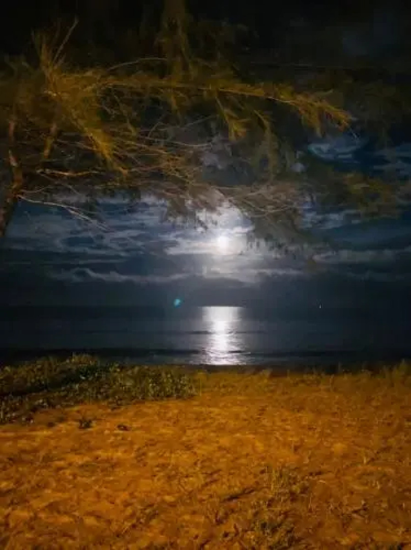 Paka Tamim Seaview Hotel