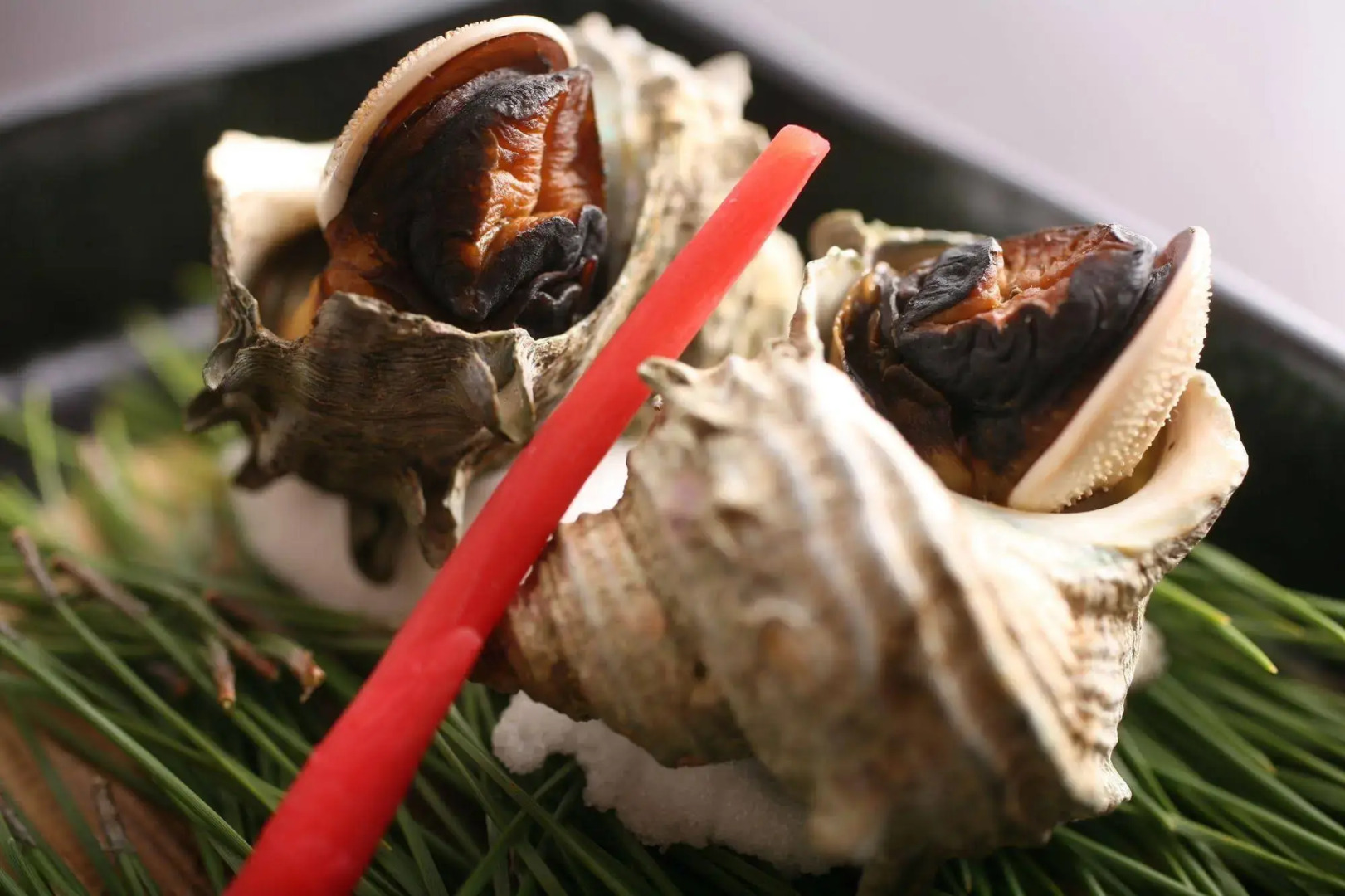 Tabinoyado Ushionoakari Geiboso