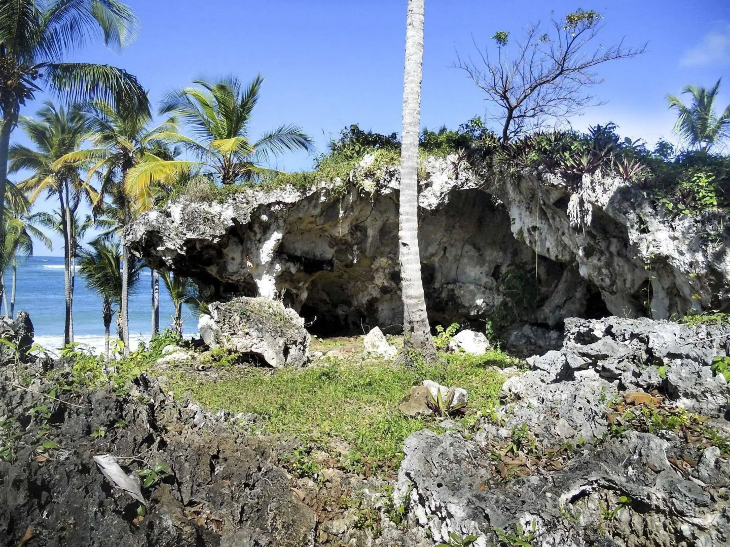 Villa Diana Ocean Front