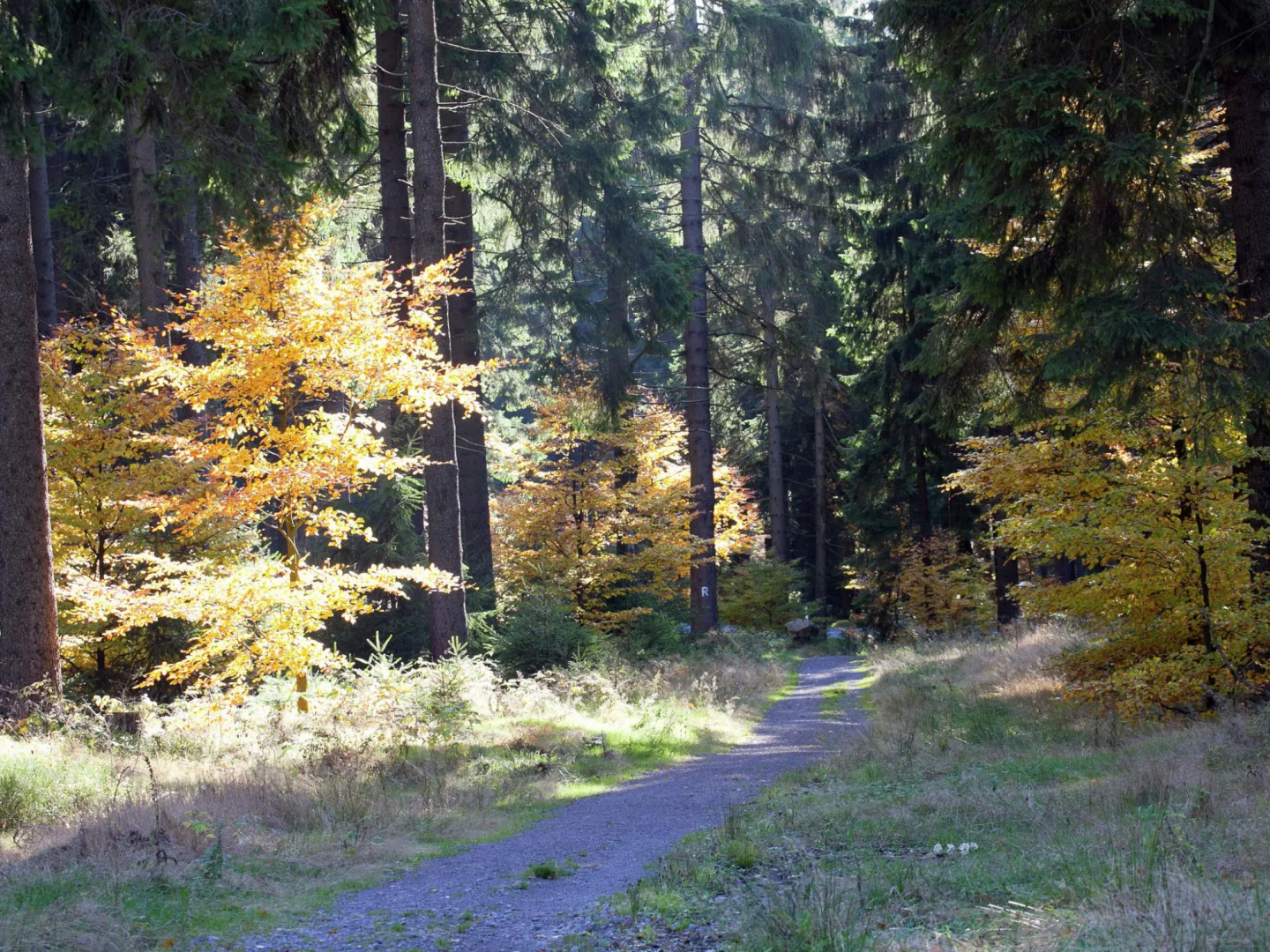 Quaint Holiday Home in Güntersberge near Lake