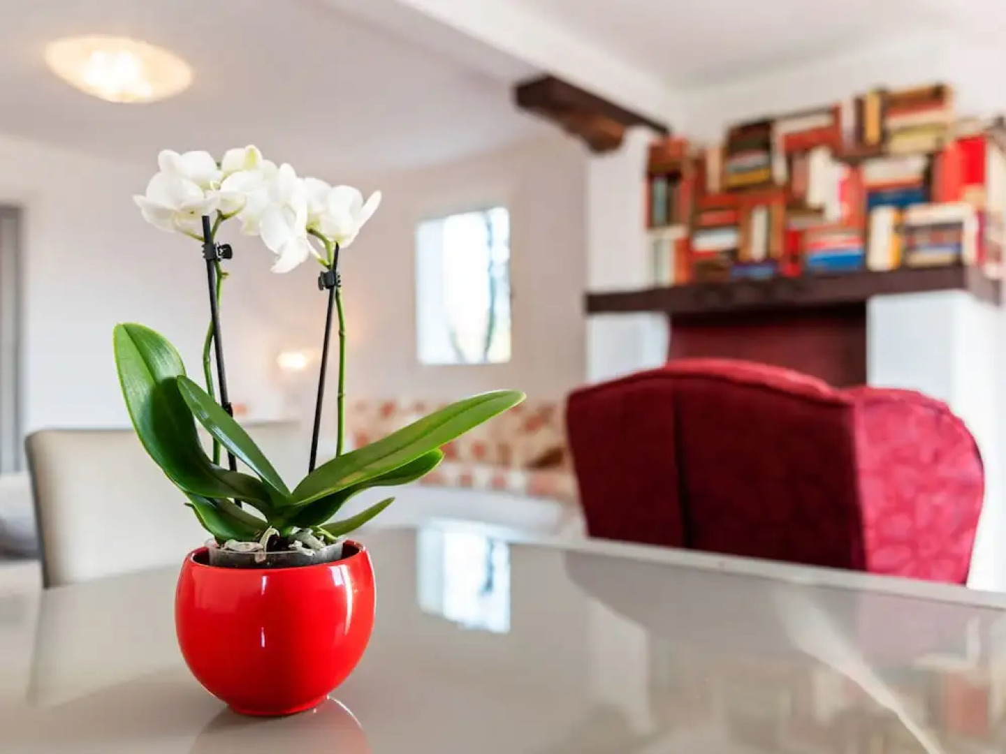 Charming Apartment in Monteprandone With Garden