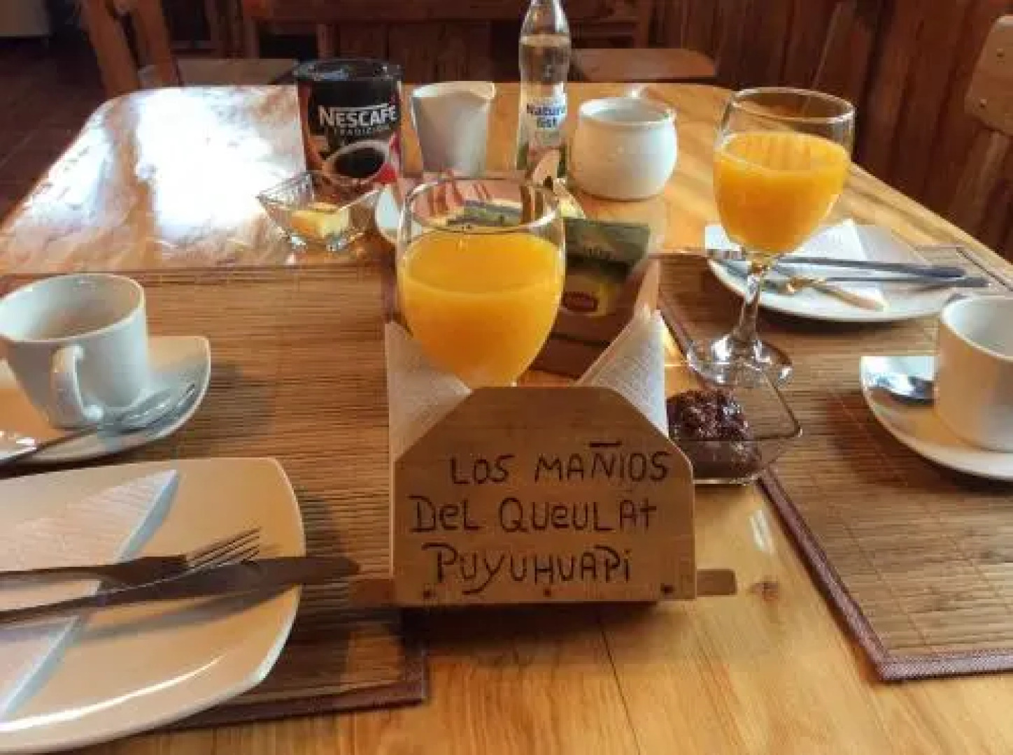 Los Mañíos Del Queulat