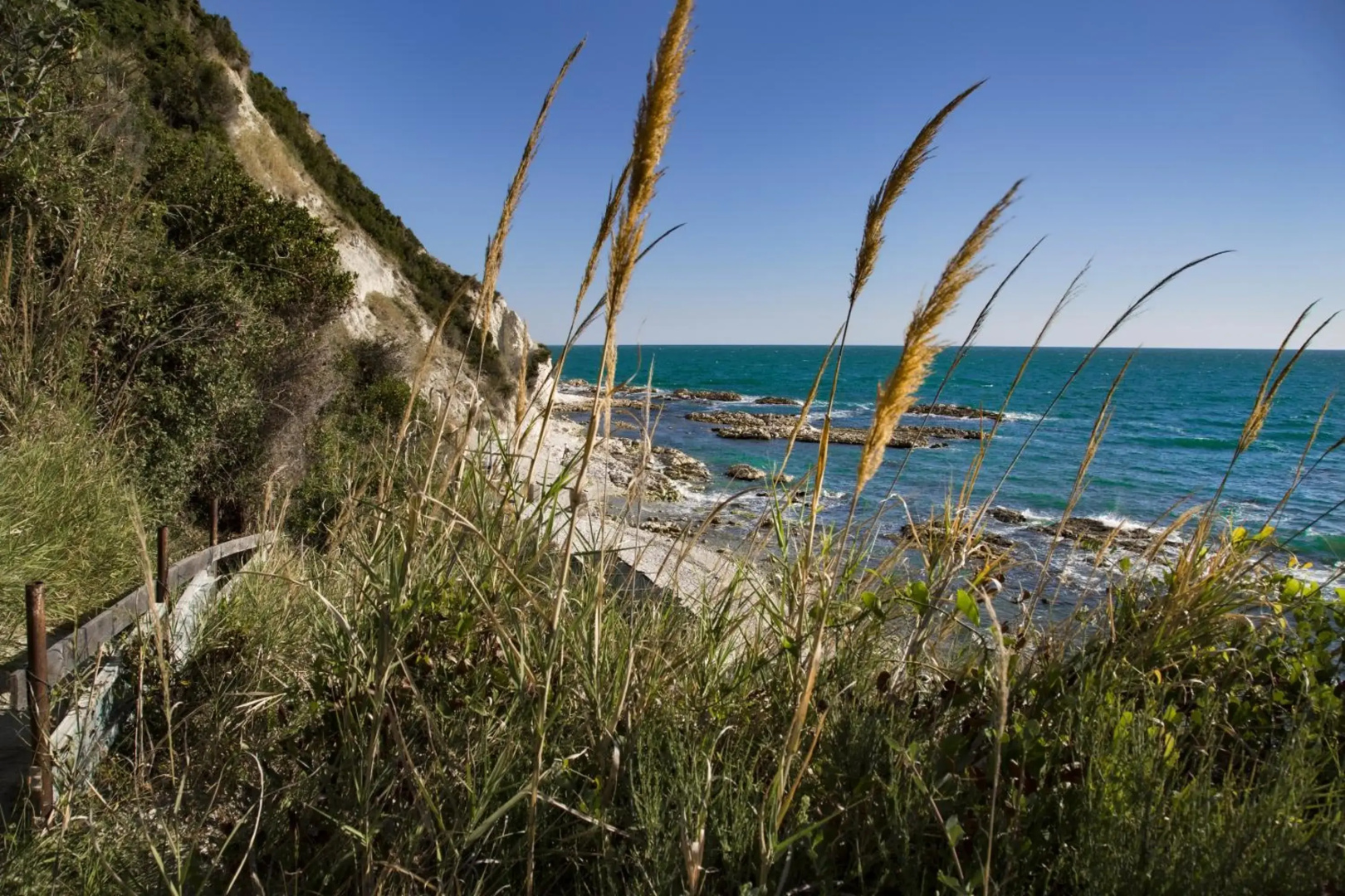 Brezza Del Conero