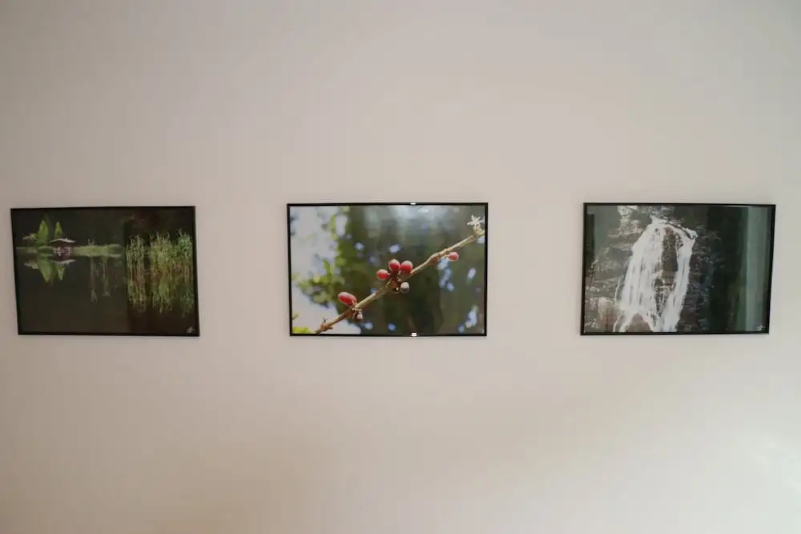 Hotel Garni Fischerfleck