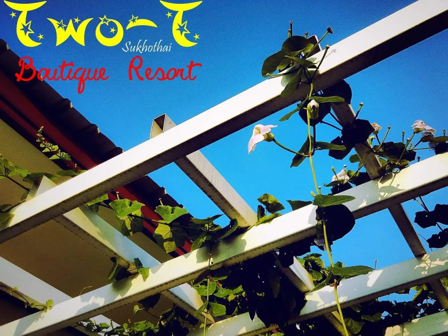 Two T Resort