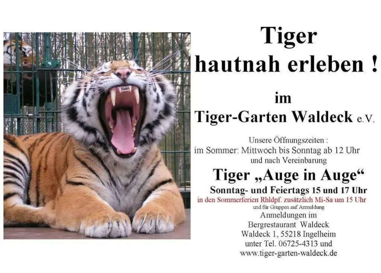 Pension im Bergrestaurant Waldeck