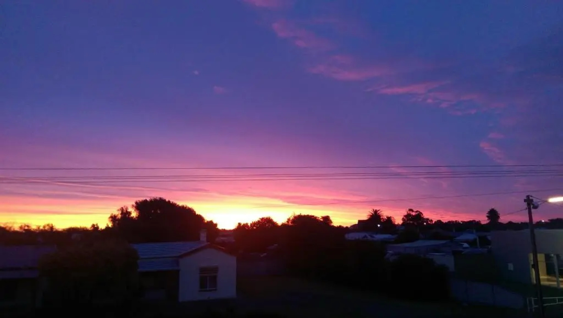 Sandpipers at Millicent