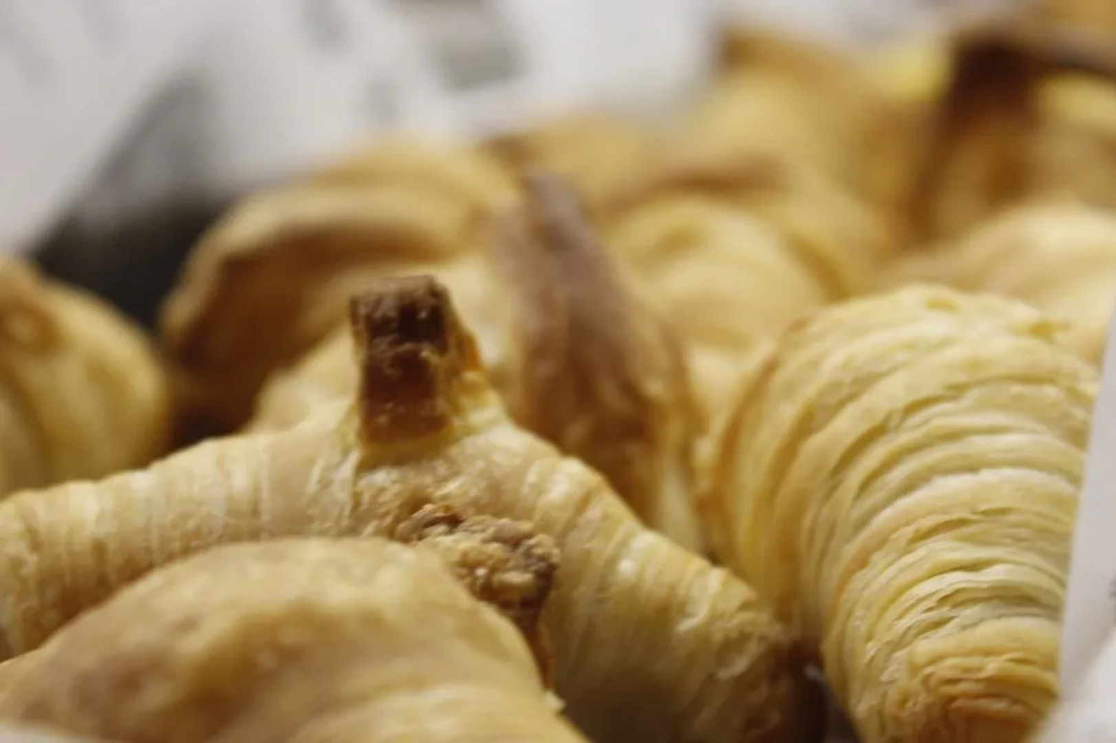 Hotel Condes de Urgel