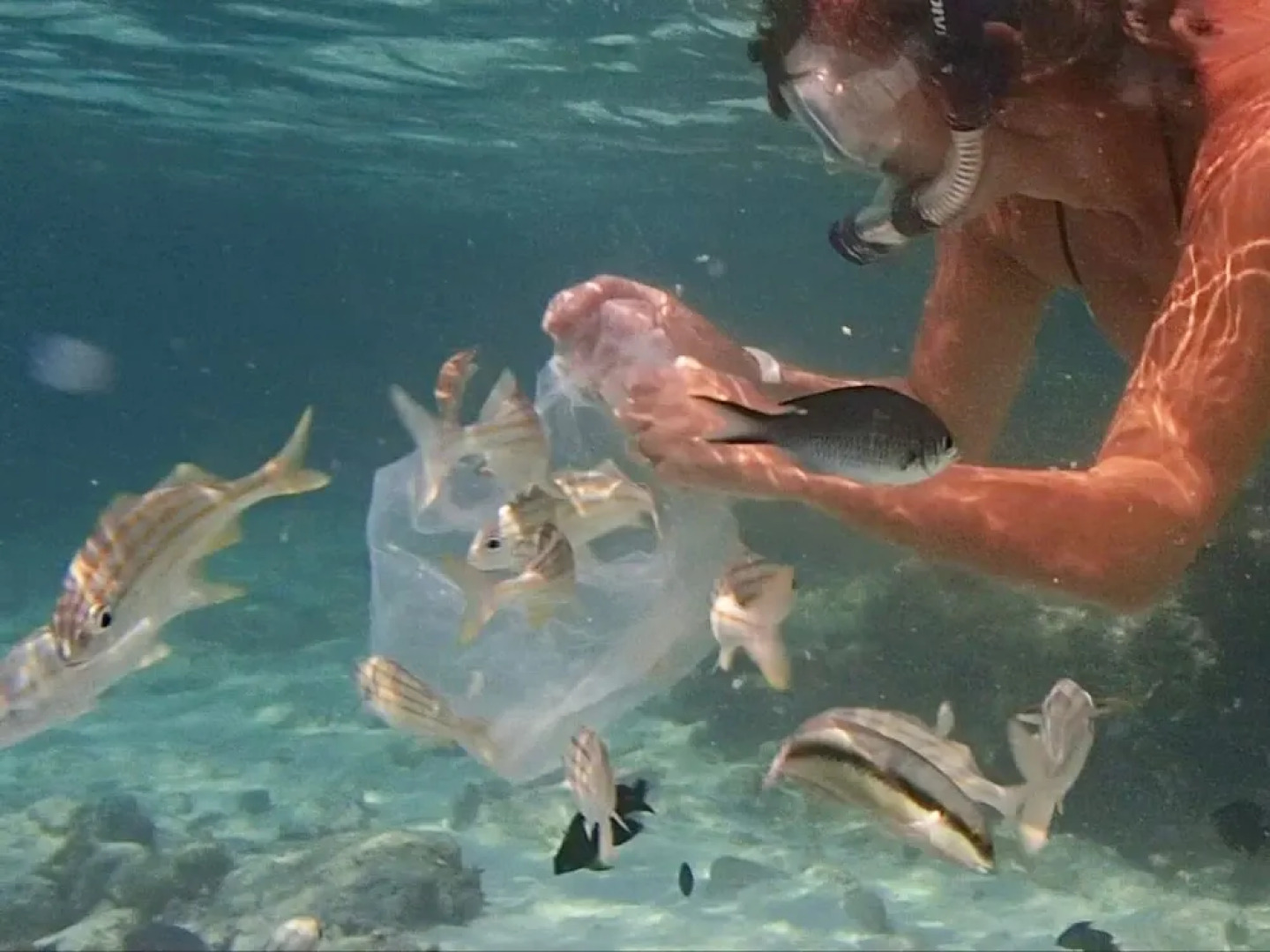 Varadero Marina Airport Guests Rooms