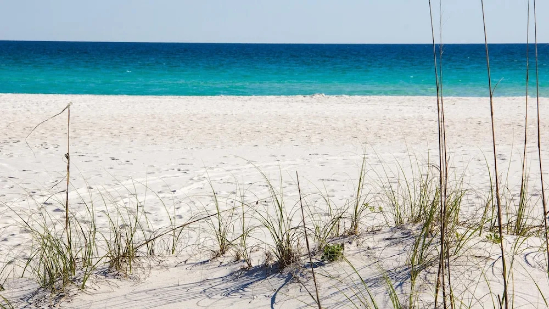 Ariel Dunes II 2303 flr23 2BR 2BA 6