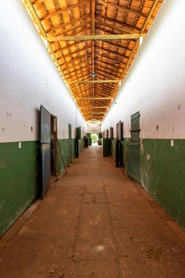 Farm in Pouso Alto MG Tranquility and Comfort