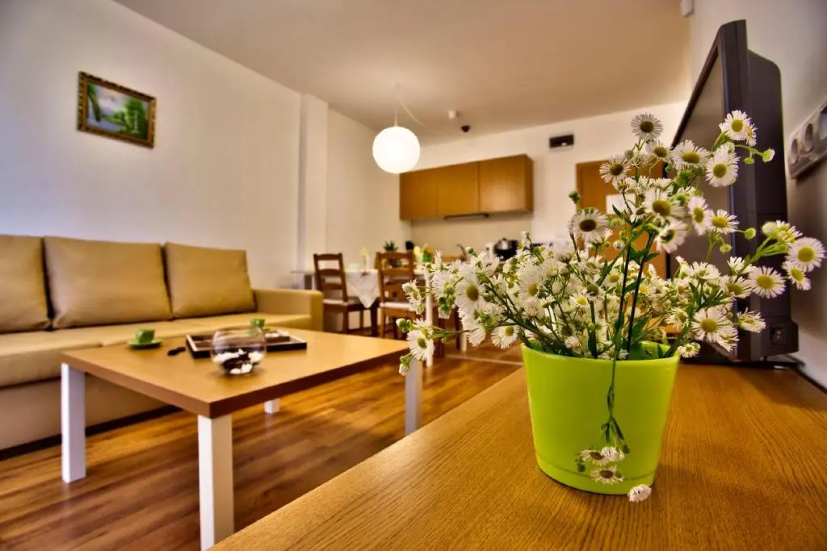 Holiday Homes Chudna