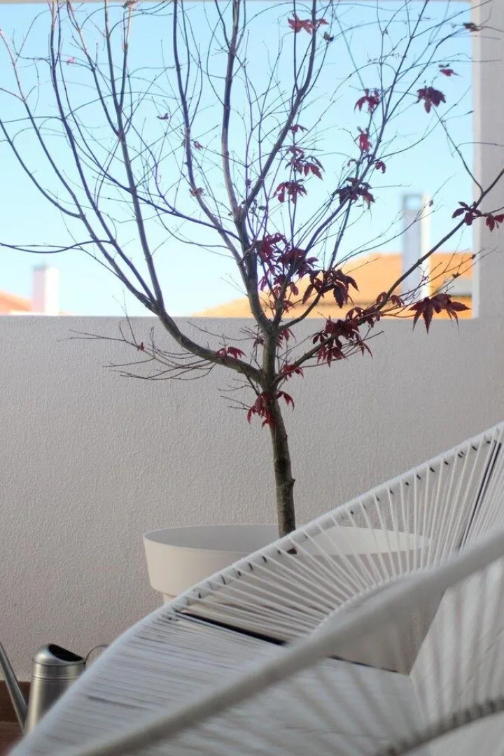 Vila Mafra - Grill Terrace