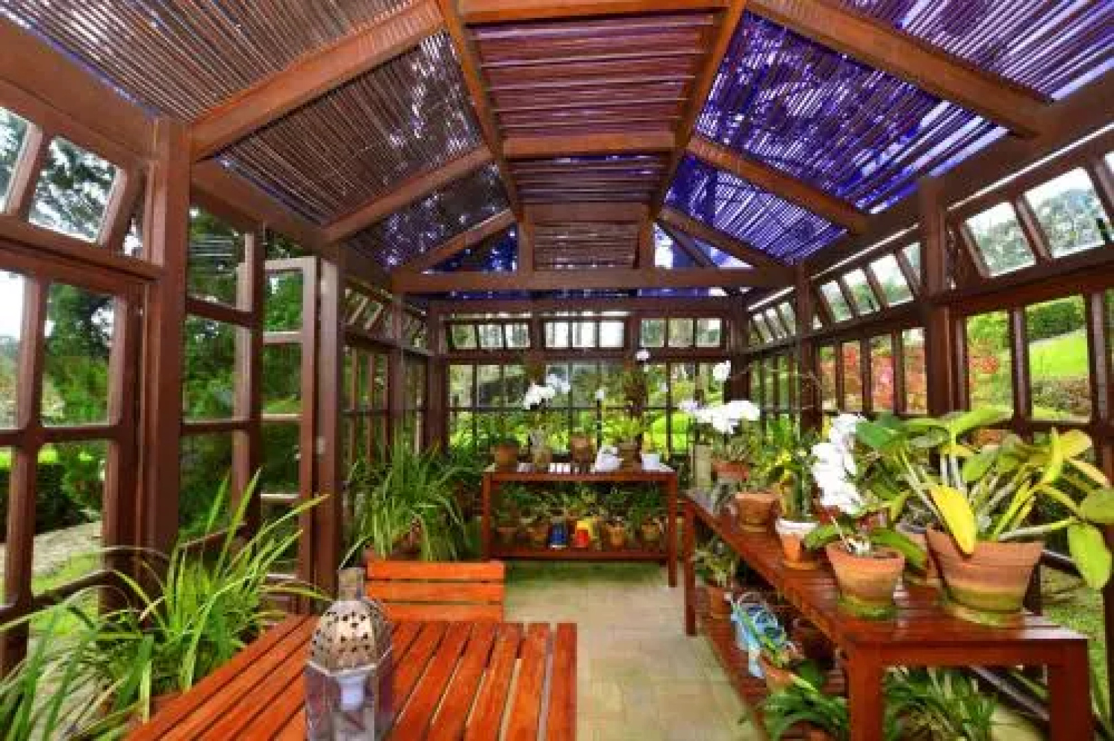 Roots Resort
