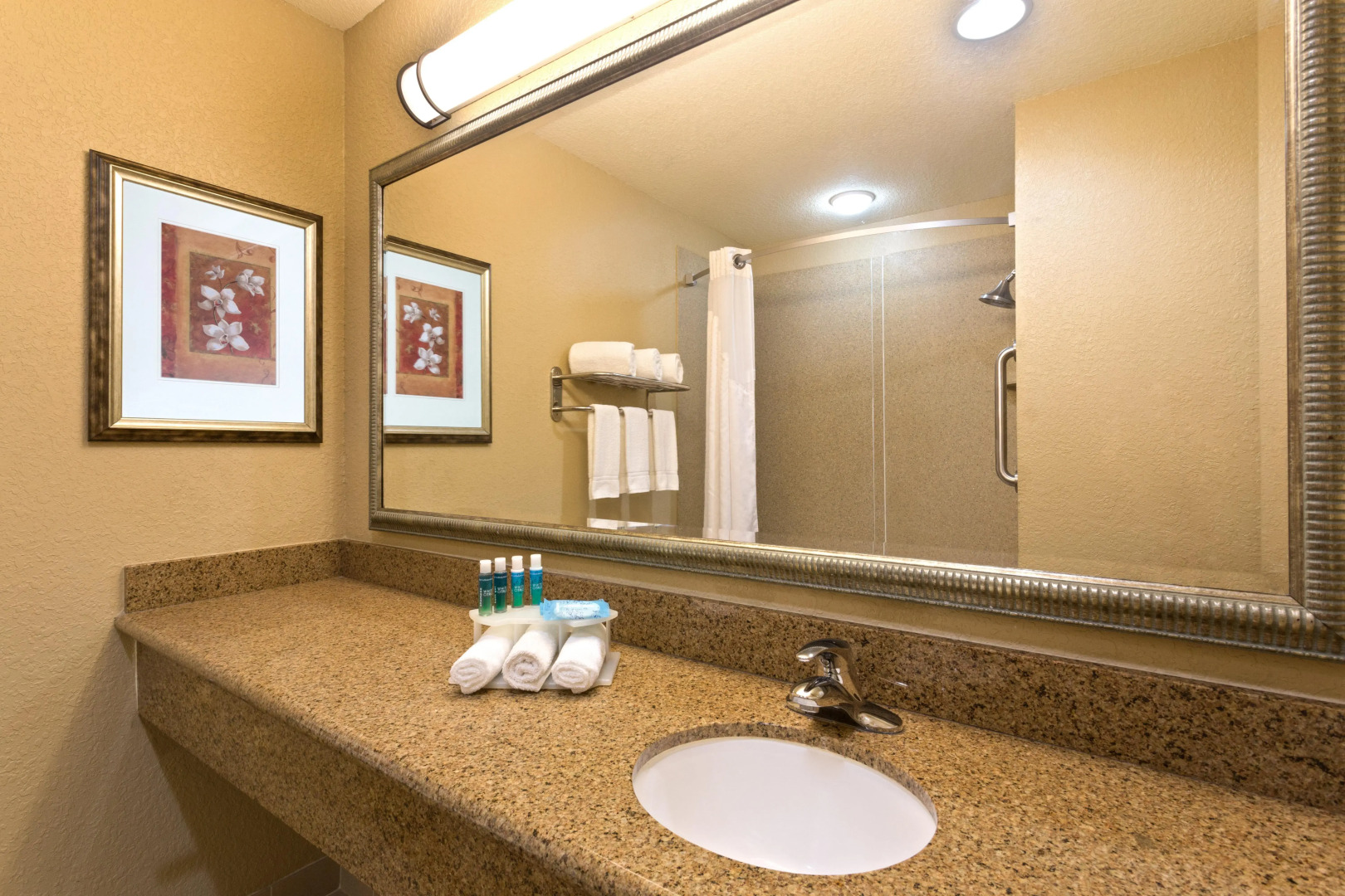 Holiday Inn Express & Suites Lakeland North - I-4 by IHG