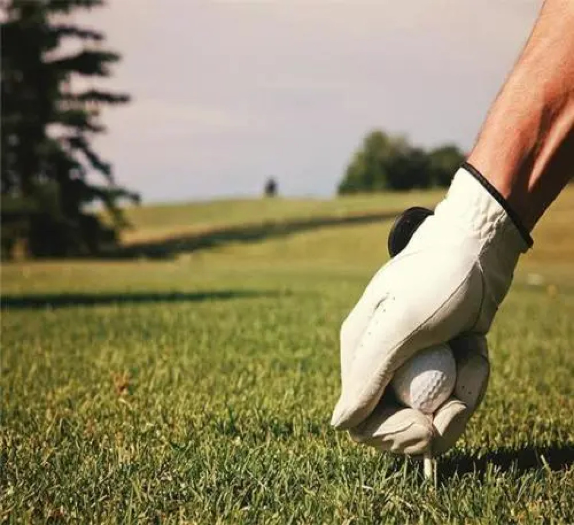 Condo Vélo-Golf-Ski Montagne Bromont - NAVETTE INCLUSE EN HIVER!