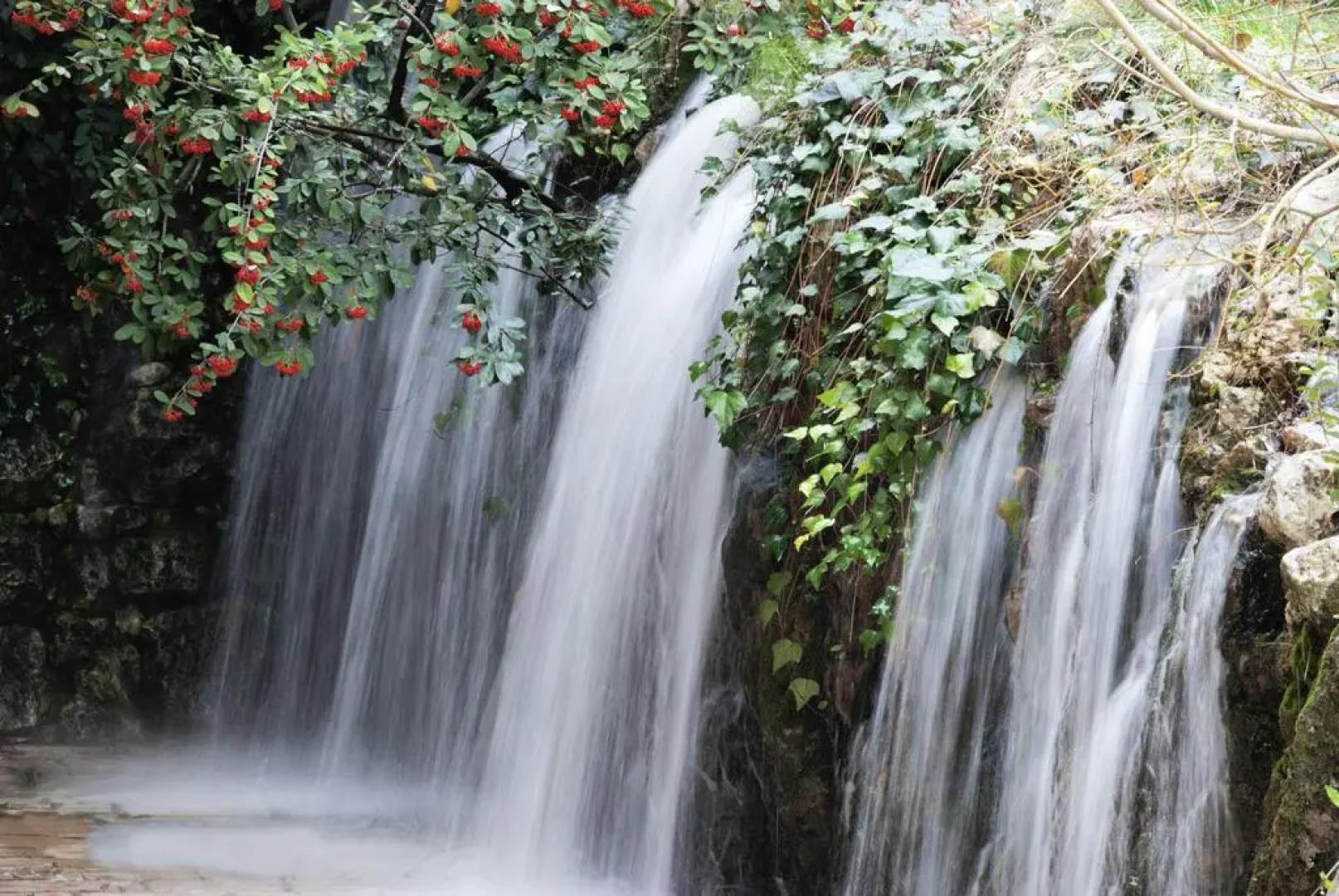 Il Portico Luxury B&B