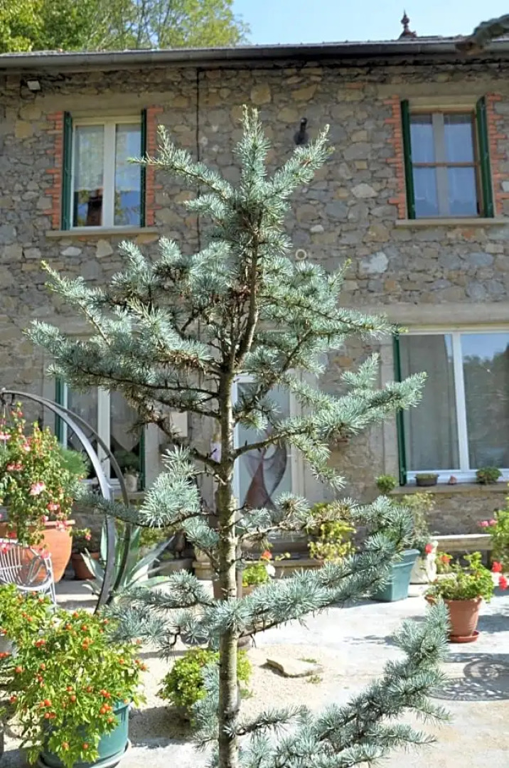 Chambre Bounty cuisine privée, salle d'eau, terrasse, garage