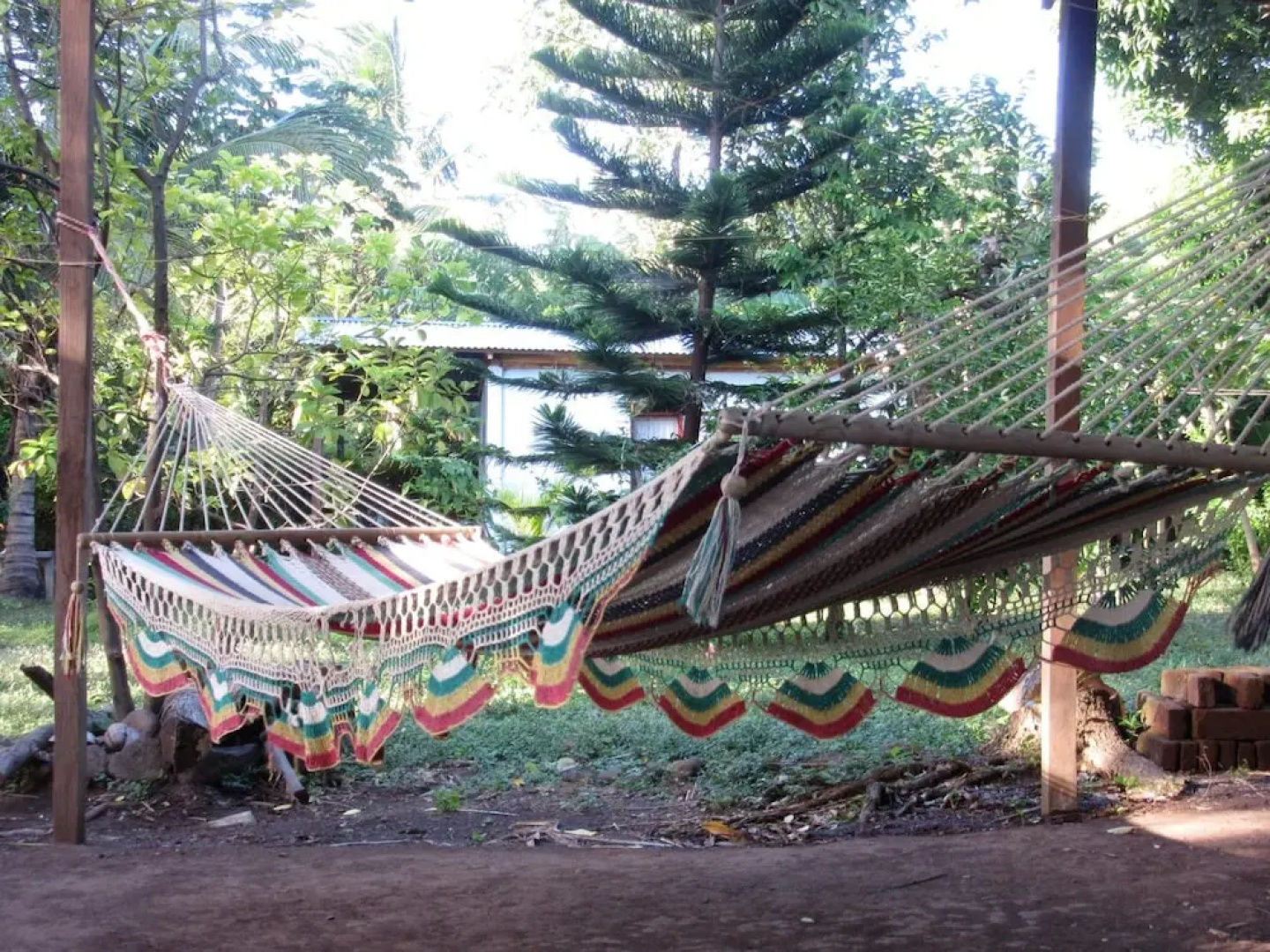 Rosa's Lake Cabins