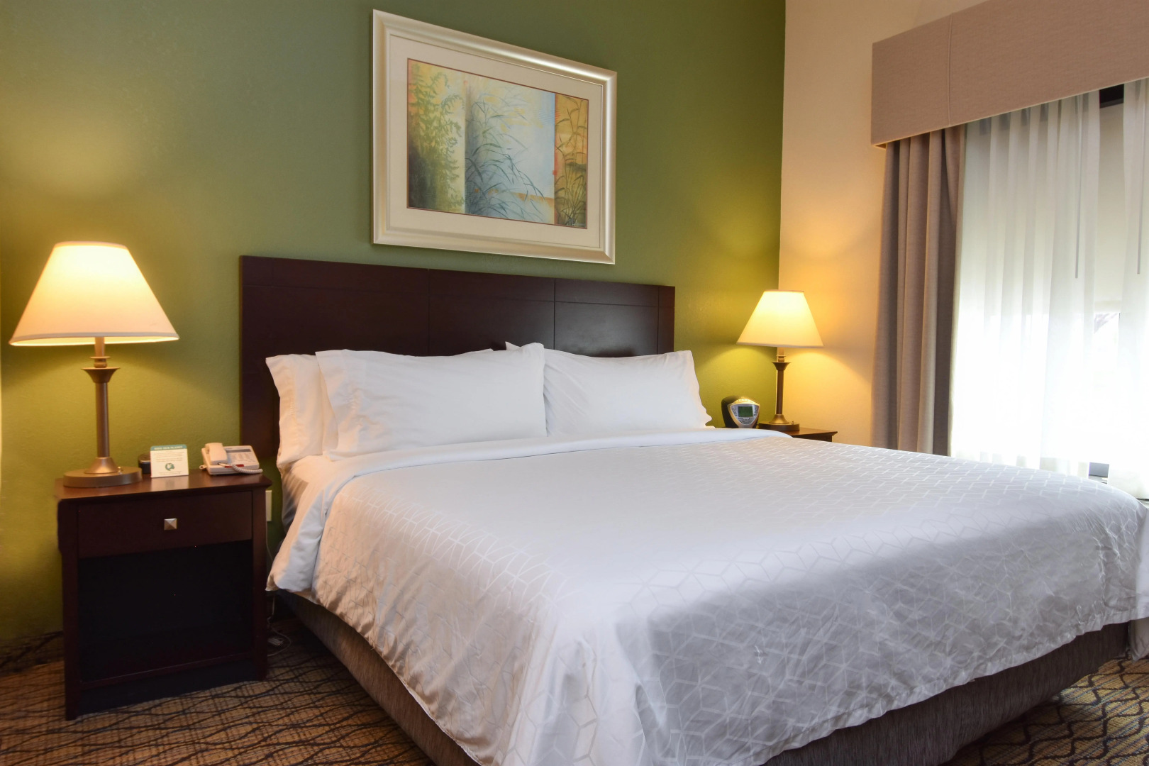 Holiday Inn Express and Suites Springfield Medical District by IHG