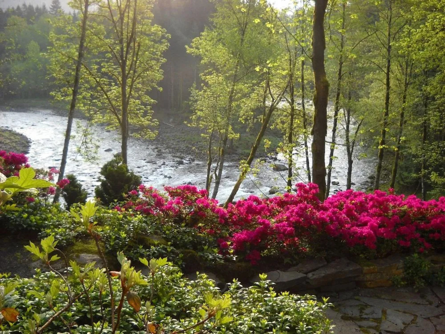 Sandy Salmon Bed & Breakfast Lodge