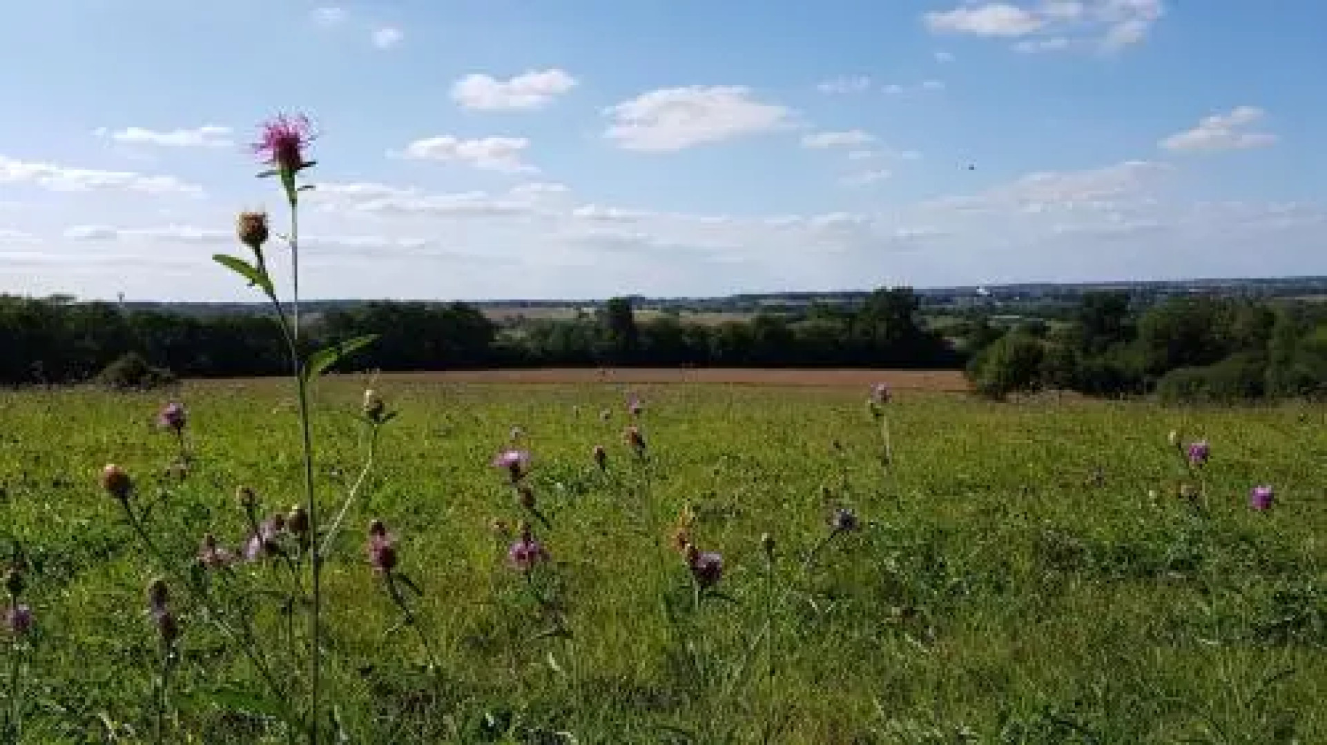 Proche Puy du Fou - Roches Blanches