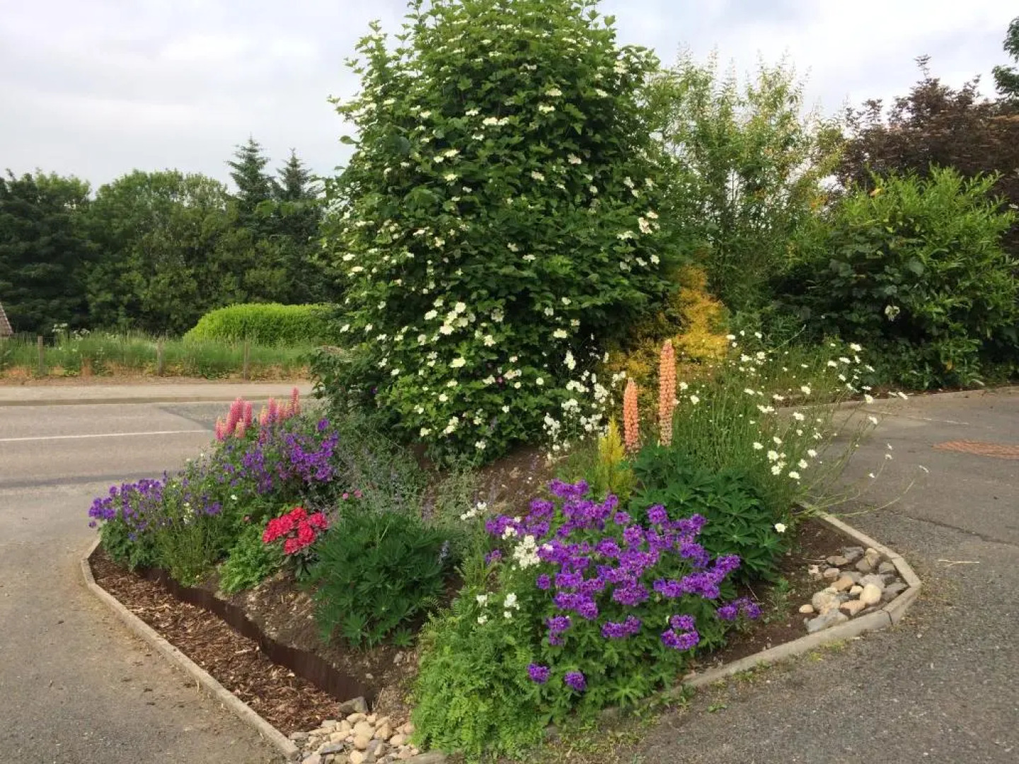 Deveron Lodge Guest House