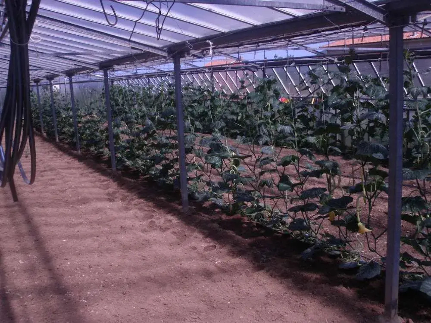 Agriturismo Le Collinette