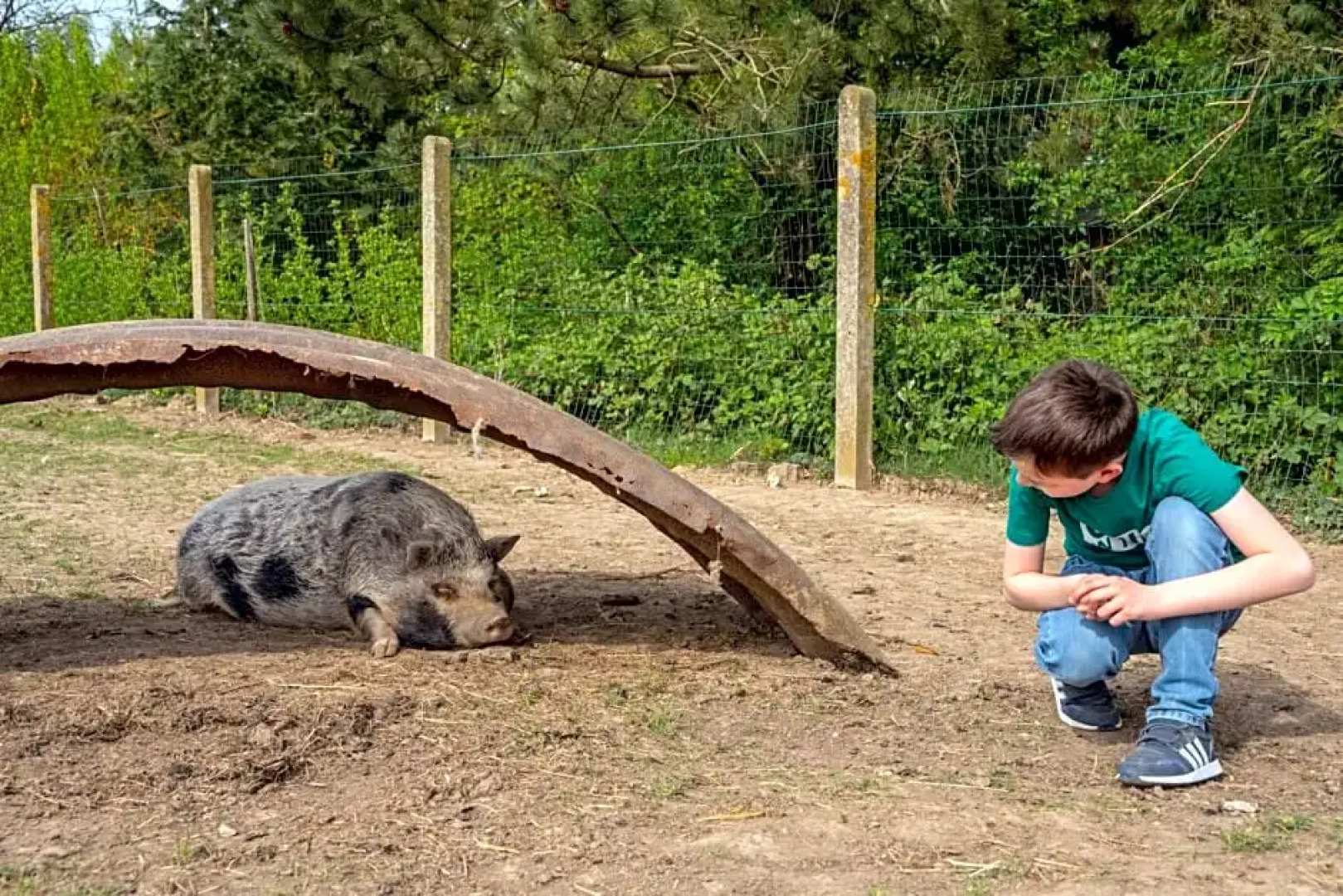 La Ferme du Moulin de Bois
