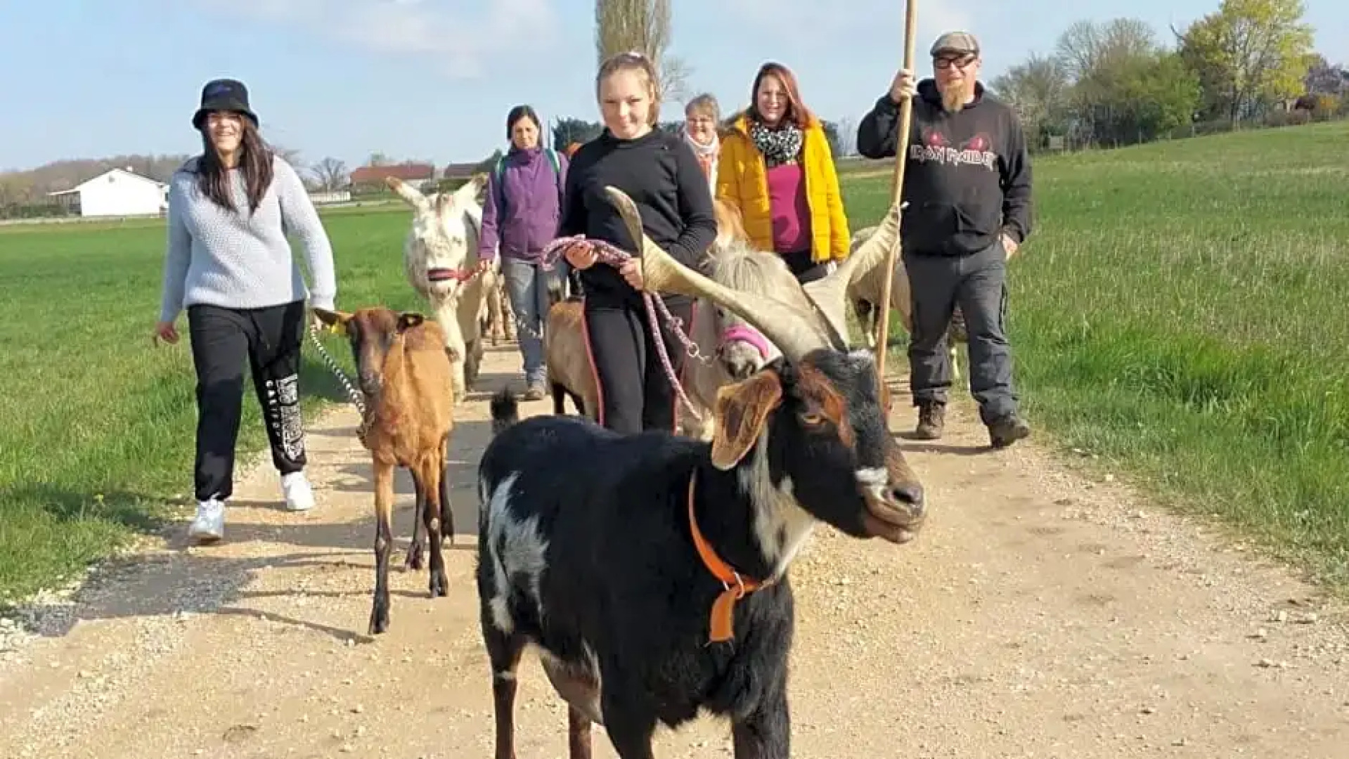 BASSE-COUR DE MONTIN au 256 chemin de la rocaille à 38510 VEZERONCE CURTIN