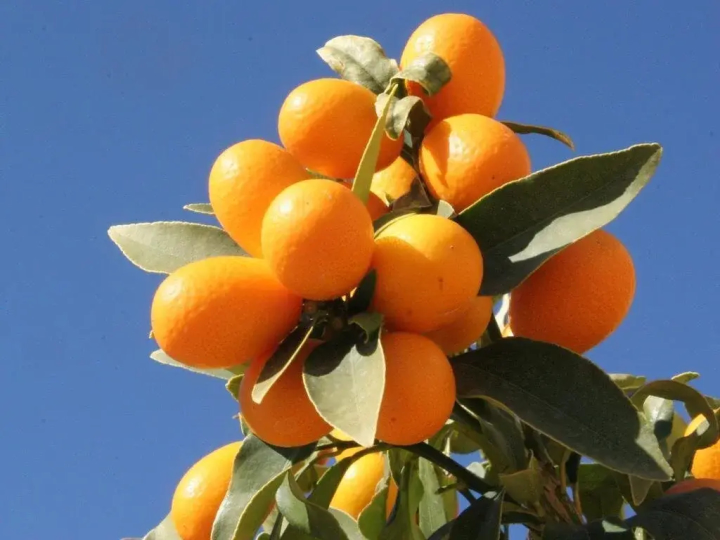 B&B Casa Rural Mas del Rey