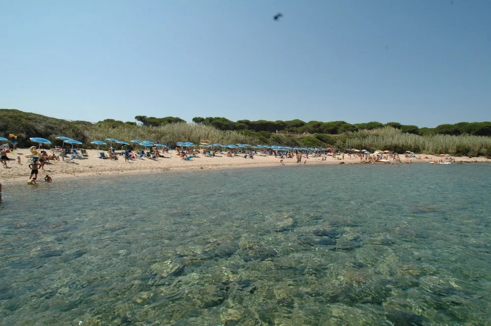 Appartamento Isola Rossa