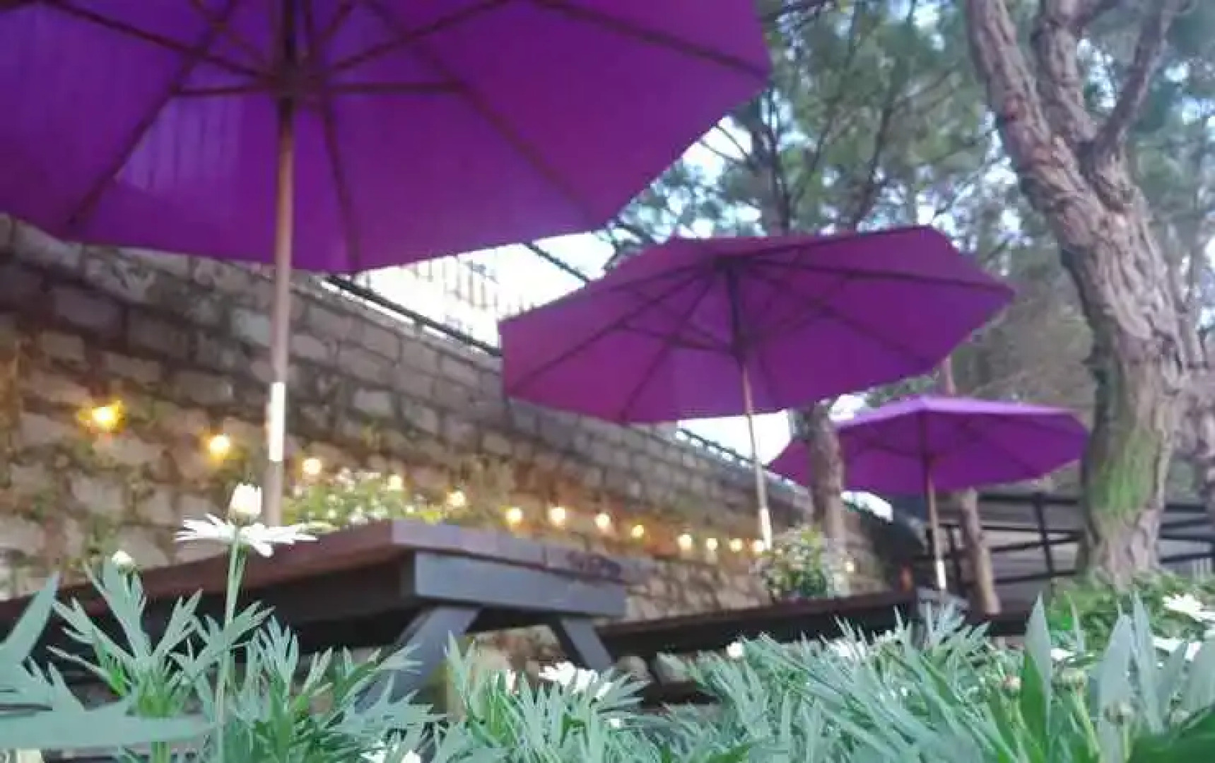 The Orchid Villa Dalat