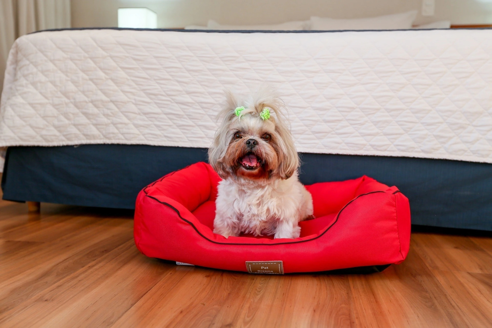 Transamerica Executive Sorocaba