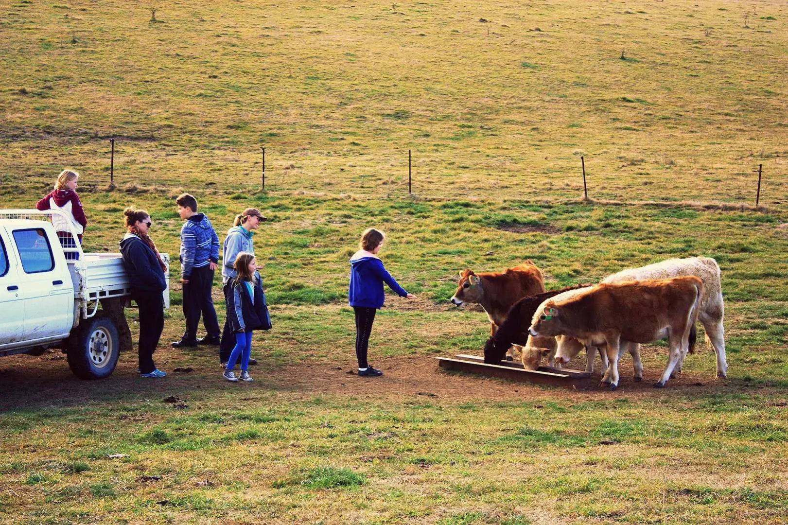 Waterfall Way Farmstay