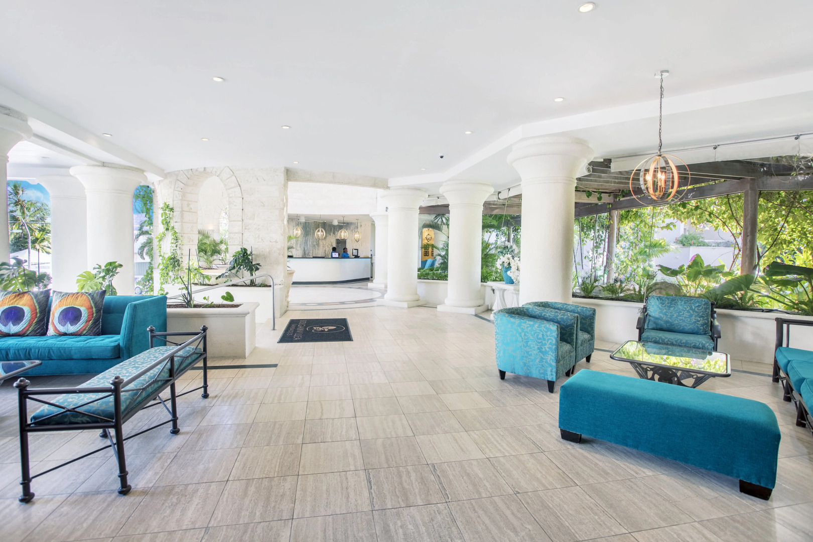 Bougainvillea Barbados