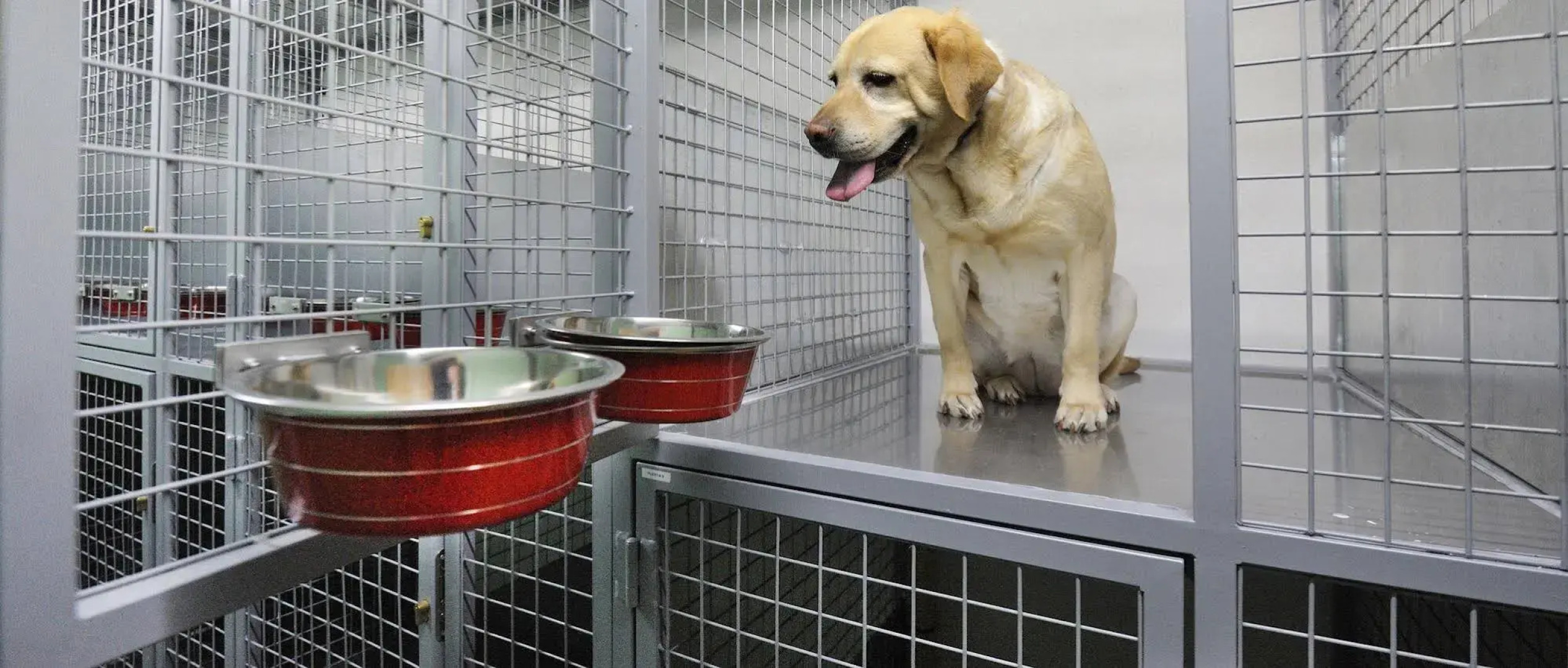 Hotel Spa Norat O Grove