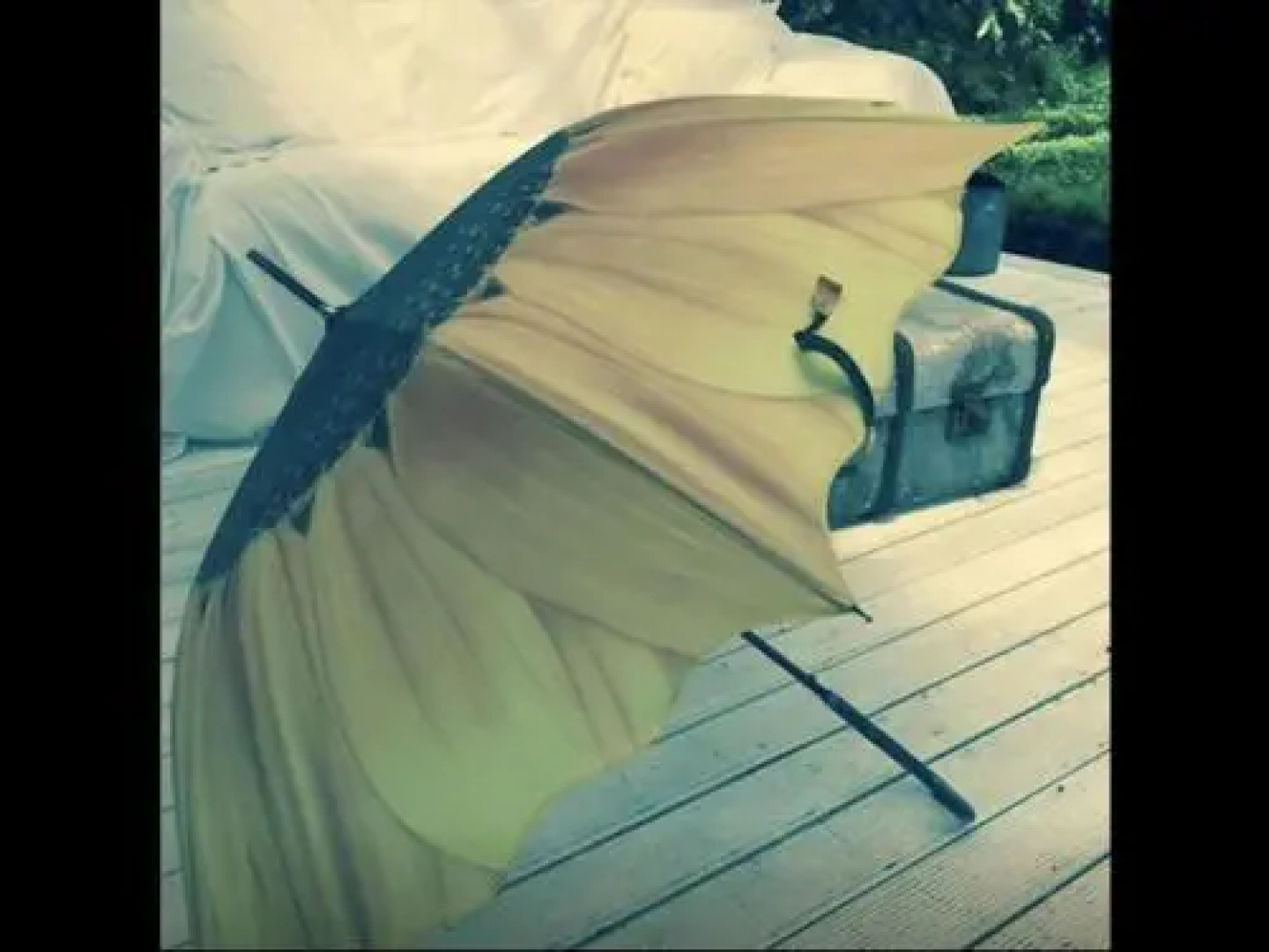 Follow The White Wabbit