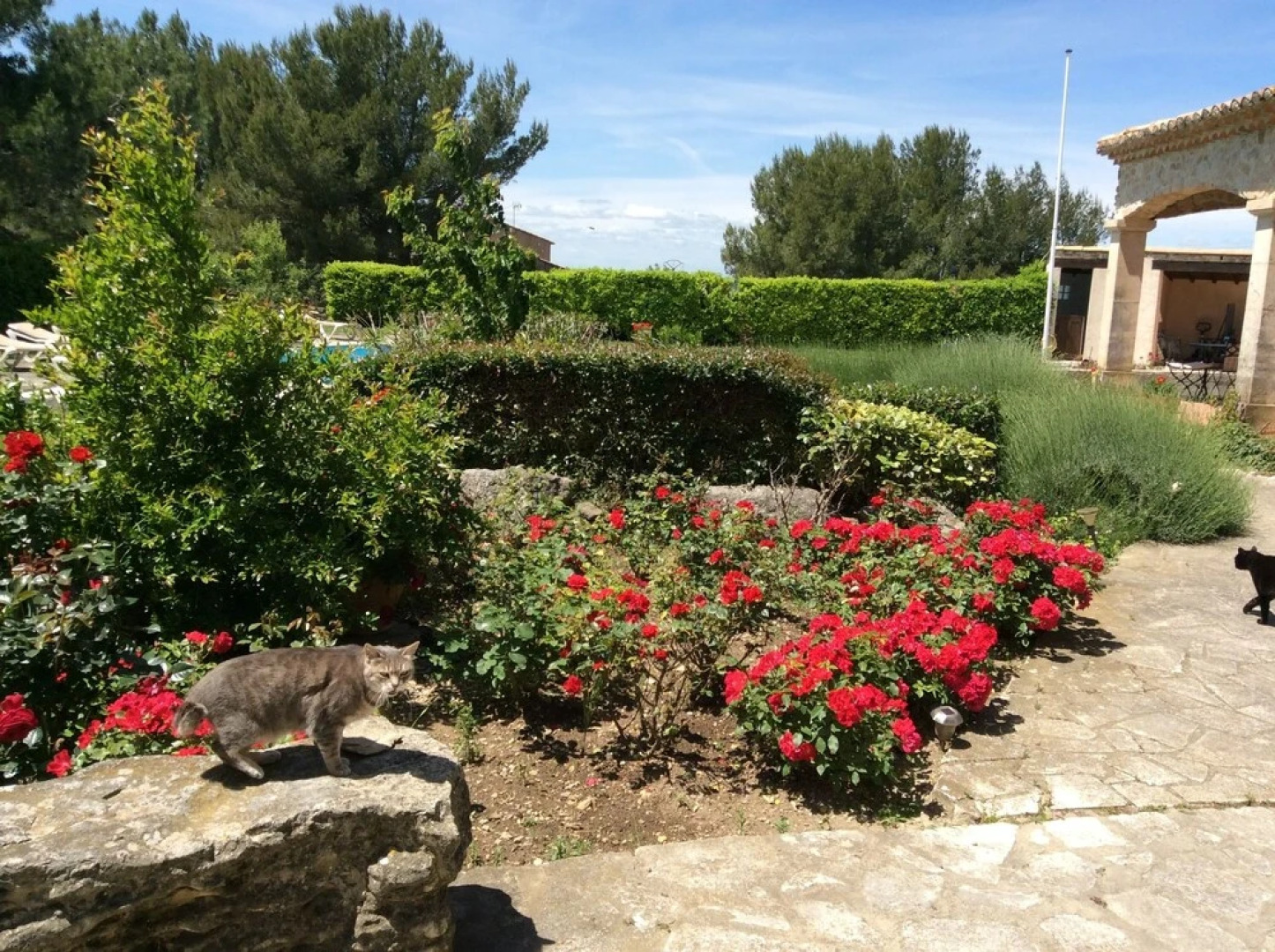 Residence Le Saint Victor