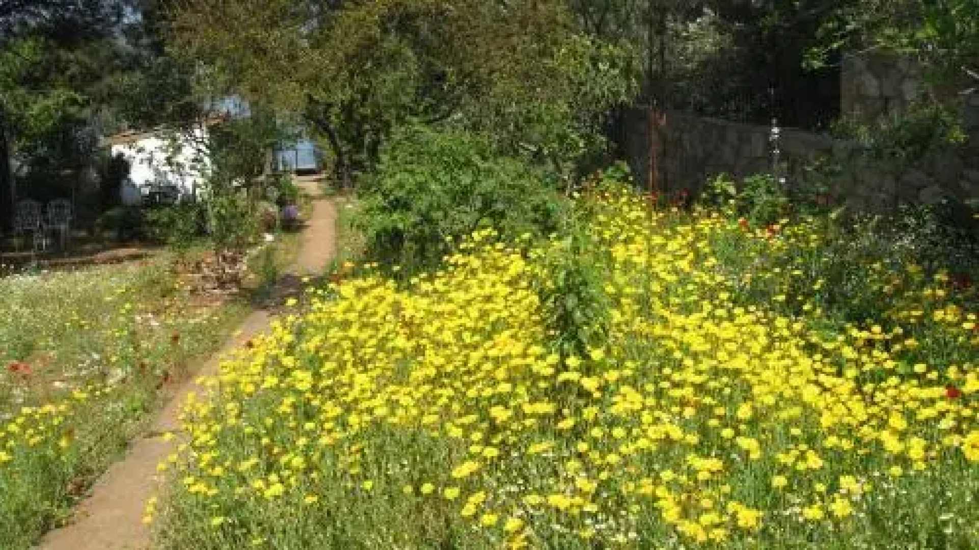 Ayvalik Dostlar Pansiyon