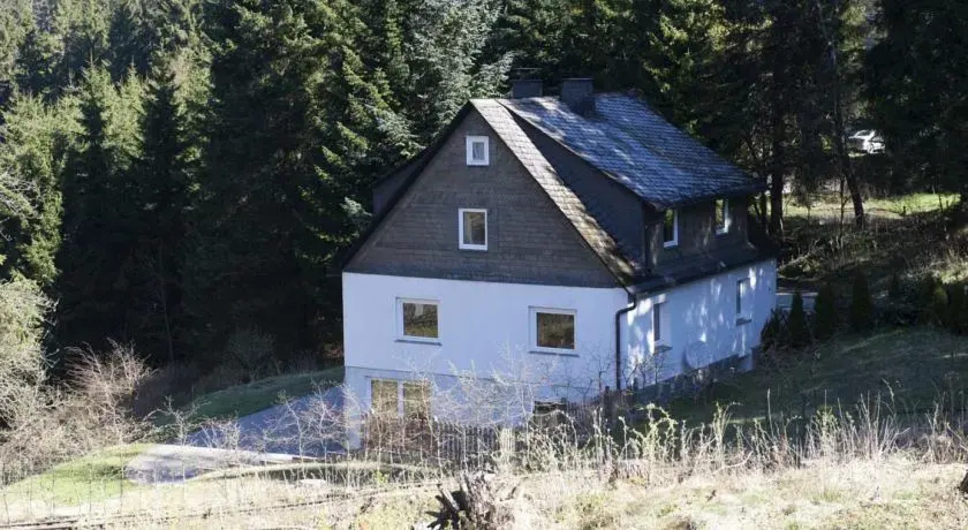 Ferienhaus 060 Waldhaus