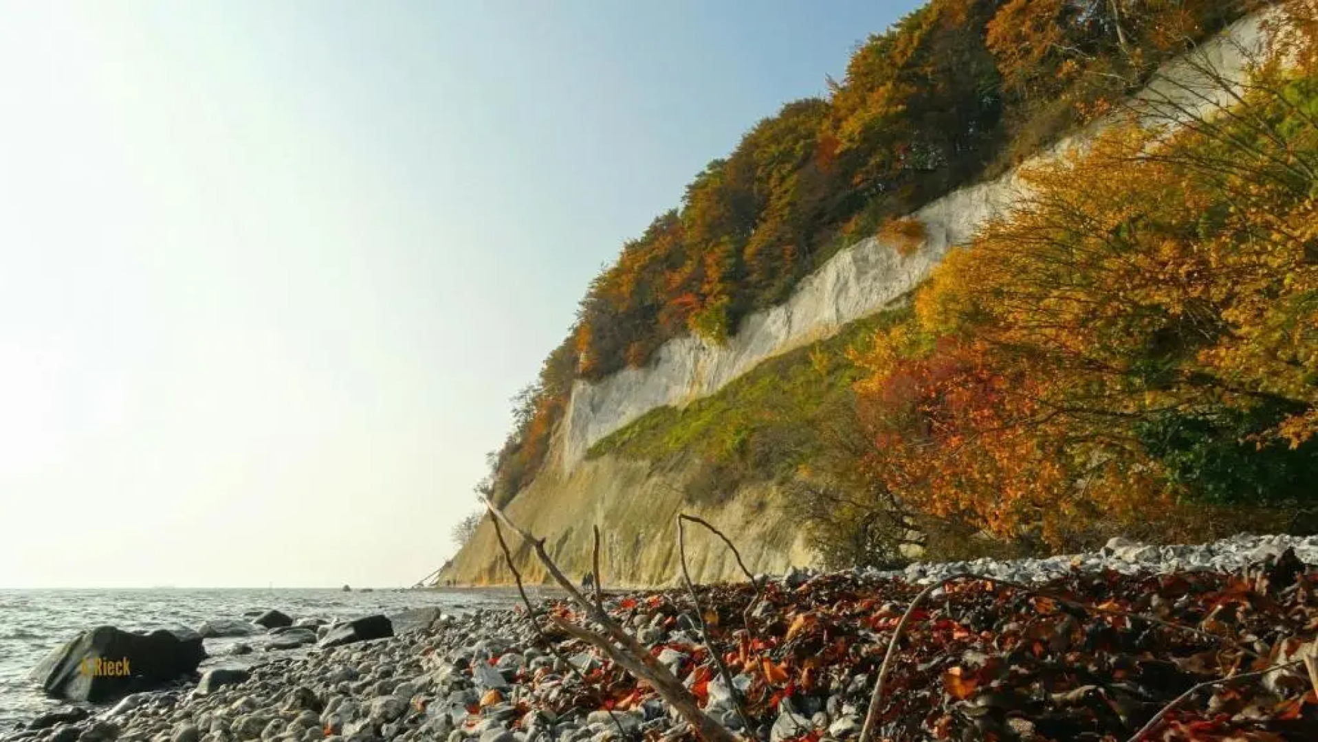 Boddenblick Lauterbach Rügen