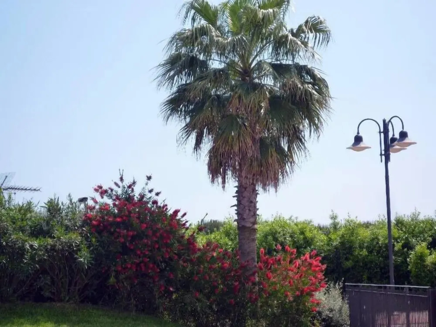 Villaggio Turistico Airone