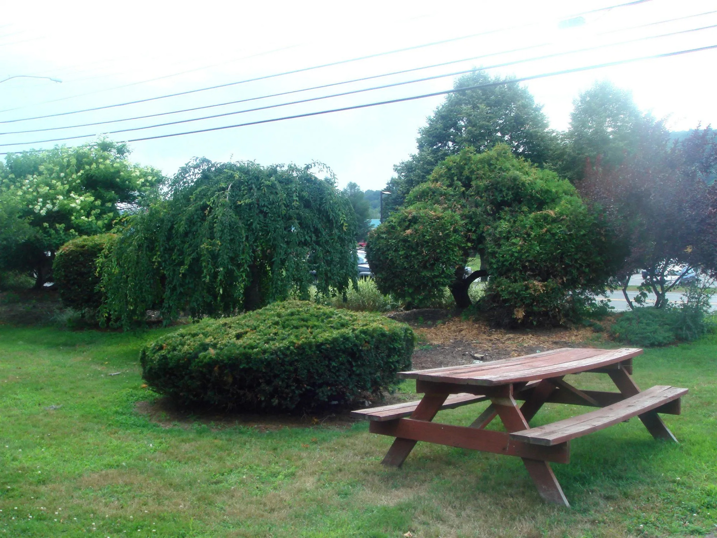 Black Mountain Inn