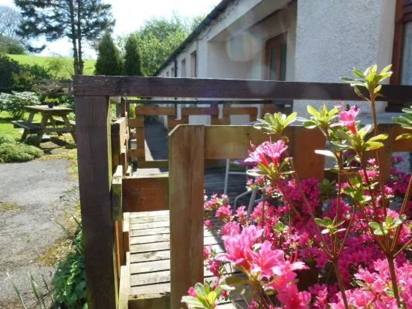 The Head At Middleton