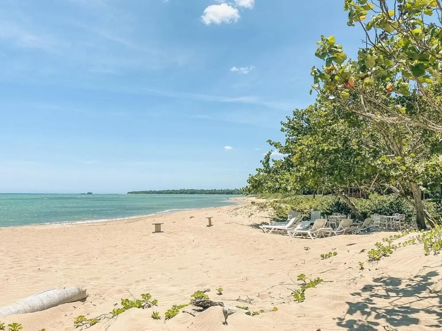 A few Steps to the Beach Enjoy This Joyful apt at Playa Dorada W Breakfast Included