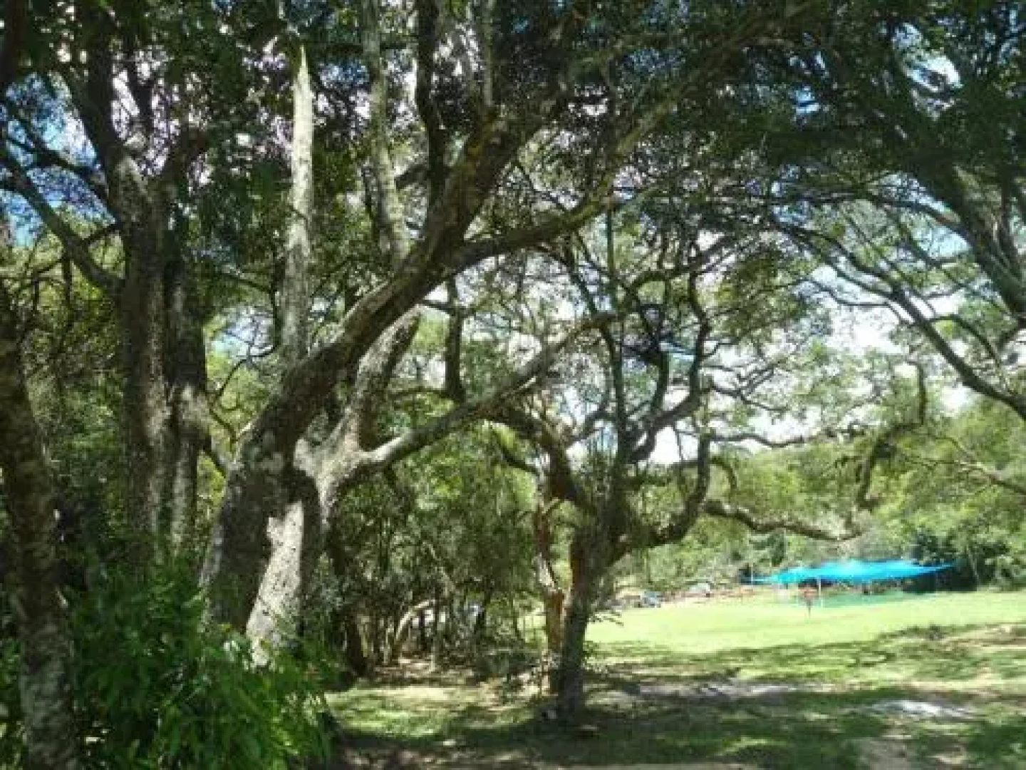 Hospedaje Rancho 3A