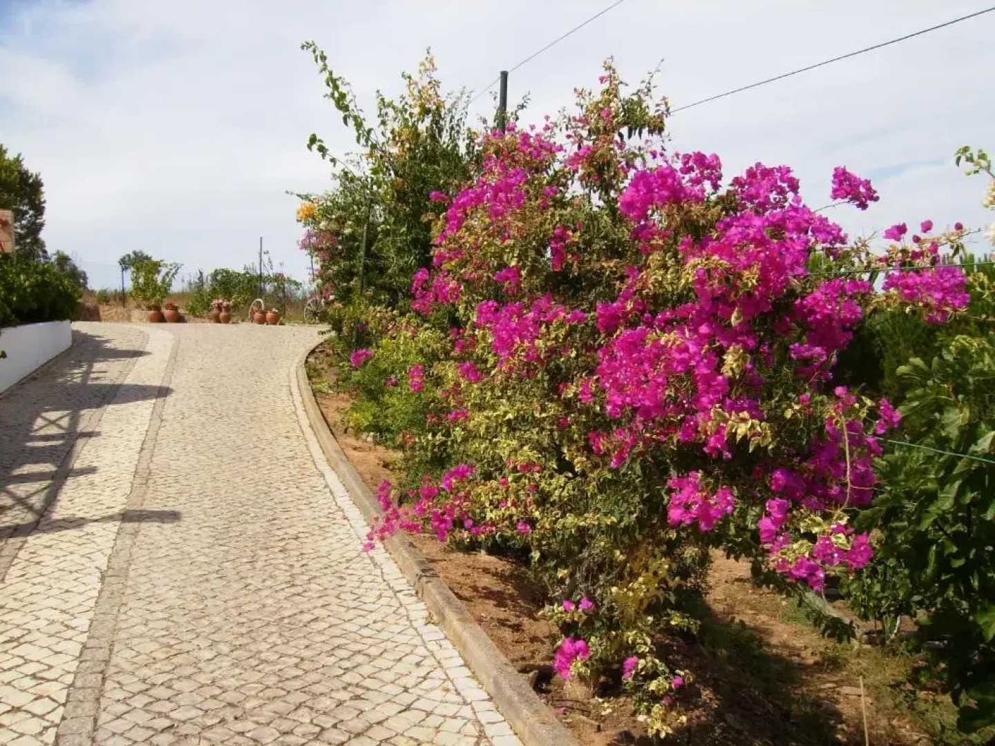 Monte da Bravura Green Resort