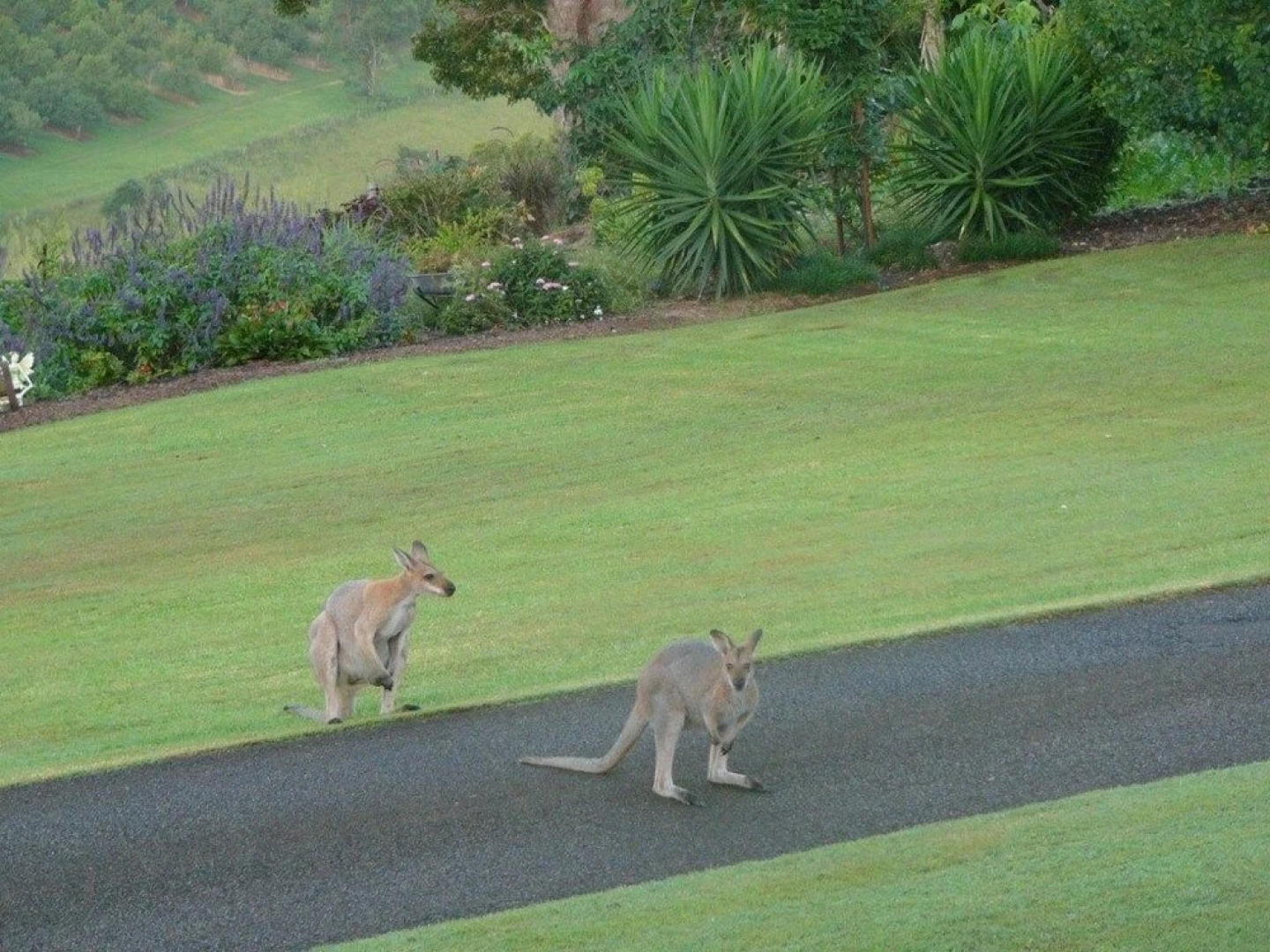 'belle la vie' B & B