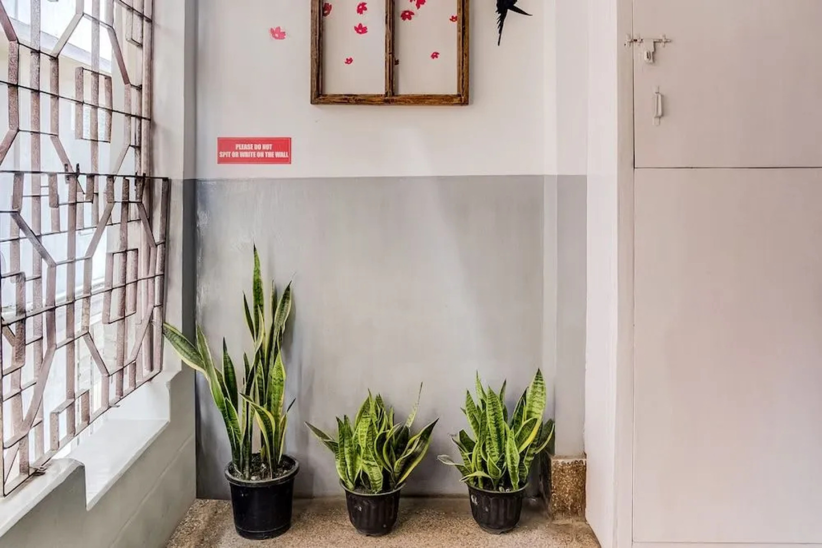 Spot on 38199 Hotel Orient